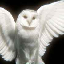 Willow Sjoden