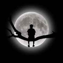 Hesham Raihan
