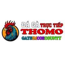 TRỰC TIẾP ĐÁ GÀ THOMO
