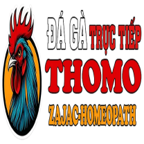 ĐÁ GÀ THOMO TRỰC TIẾP HÔM NAY TẠI CAMPUCHIA