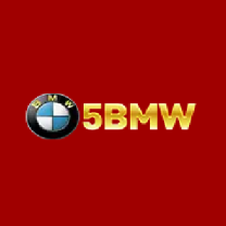 bmw55