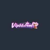 vip66ca