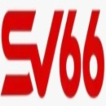 sv66team cn com