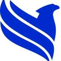 Fusion Business Solution P Limited