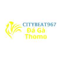 Đá Gà Trực Tiếp Thomo