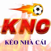 tỷ lệ kèo nhà cái