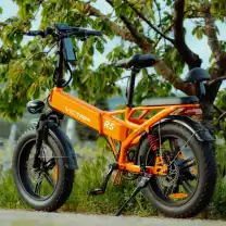 VICTRIP EBike