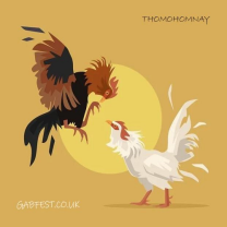 thomohomnay TRỰC TIẾP ĐÁ GÀ THOMO