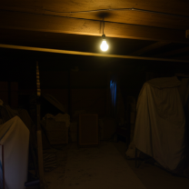 A Flicker in the Dark