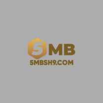 5MB