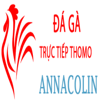 Đá Gà Trực Tiếp Thomo