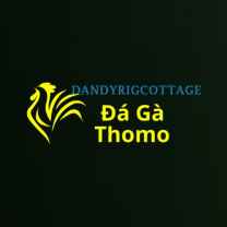 dagadandy