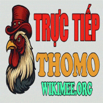ĐÁ GÀ TRỰC TIẾP THOMO HÔM NAY TẠI CAMPUCHIA