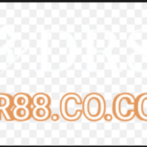 dr88.io - Hình 1