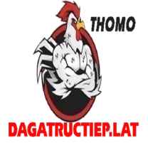 Đá Gà Trực Tiếp