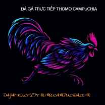 ĐÁ GÀ TRỰC TIẾP THOMO HÔM NAY