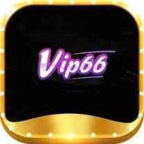 Vip66.study