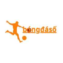 Bongdaso Cv