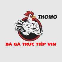 ĐÁ GÀ TRỰC TIẾP VIN
