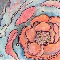 Martina Franklin Poole 