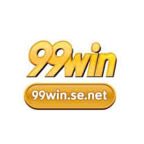 99winsenet