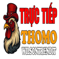 ĐÁ GÀ TRỰC TIẾP THOMO HÔM NAY