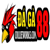 daga88coll