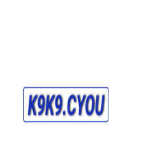 K9K9
