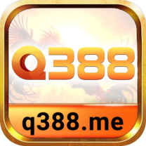 Q388 Me