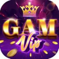gamvipwork