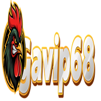 GAVIP68 forum