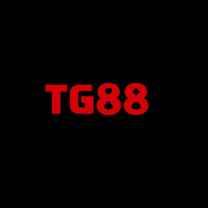 sztg88com