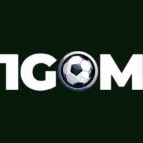 1GOM