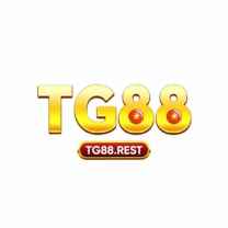 nhà cái tg88