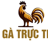 ĐÁ GÀ TRỰC TIẾP