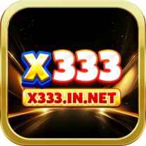 X333 IN NET