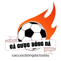 cacuocbongdatoday