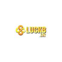Luck8 cat