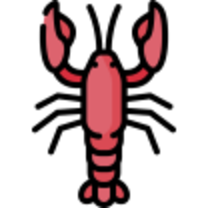 rakidarru
