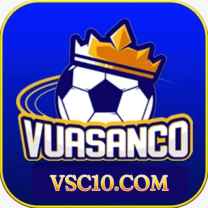 Vsc10 com
