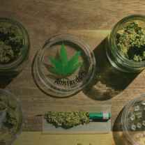 California Cannabis Testing Labs
