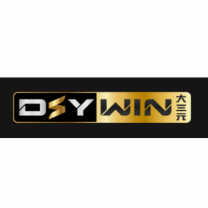 Dsy win