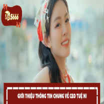 CEO Tuệ Ni