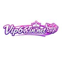 Vip66 in net
