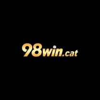 98wincat