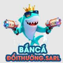 Bancadoithuong sarl