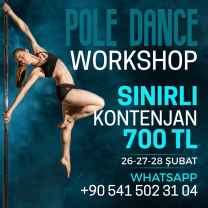 Pole Dans Kursu