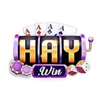 haywin88online1