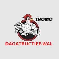 ĐÁ GÀ TRỰC TIẾP WALES