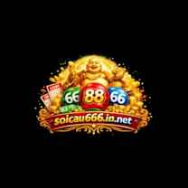 soicau666innet